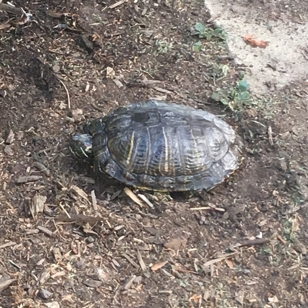 Meet your Posher, Aiden